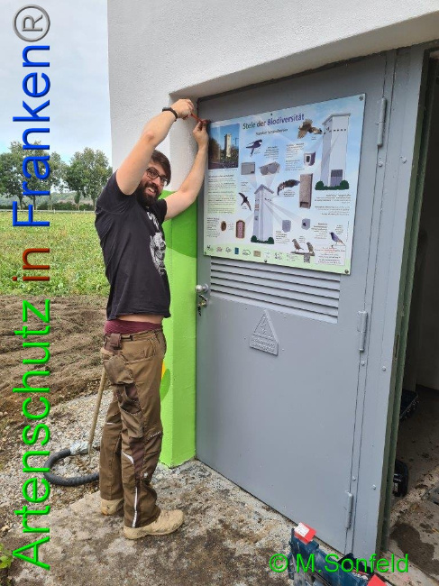 © Artenschutz in Franken® / Sonfeld Bild zum Eintrag (1032512-160)