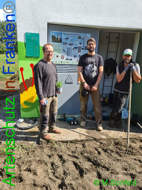 © Artenschutz in Franken® Bild zum Eintrag (1032515-160)