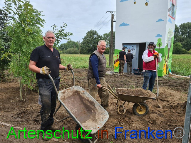 © Artenschutz in Franken® / Sonfeld Bild zum Eintrag (1032526-160)