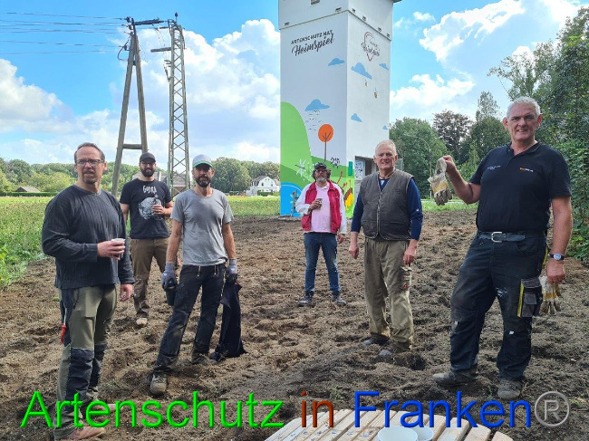 © Artenschutz in Franken® / Sonfeld Bild zum Eintrag (1032527-160)
