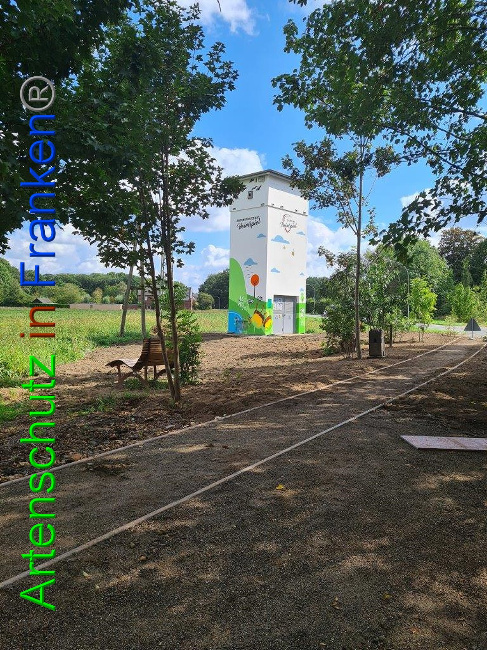© Artenschutz in Franken® / Sonnfeld Bild zum Eintrag (1032537-160)