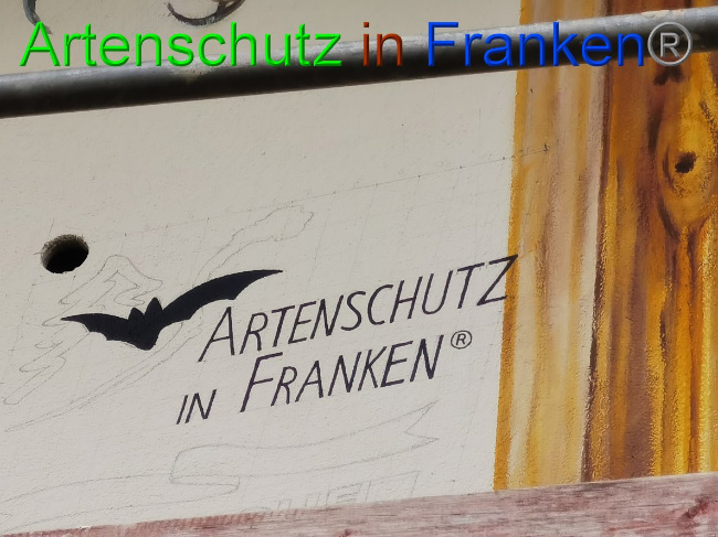 © Artenschutz in Franken® / Vennemann Bild zum Eintrag (1032595-160)