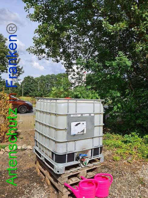 © Artenschutz in Franken® / Sonnfeld Bild zum Eintrag (1032654-160)