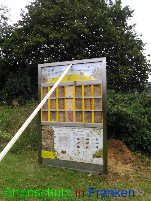 © Artenschutz in Franken® Bild zum Eintrag (1032709-160)