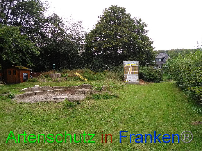 © Artenschutz in Franken® Bild zum Eintrag (1032712-160)
