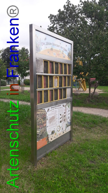© Artenschutz in Franken® Bild zum Eintrag (1032803-160)