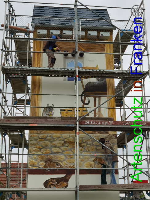 © Artenschutz in Franken® / Vennemann Bild zum Eintrag (1032817-160)