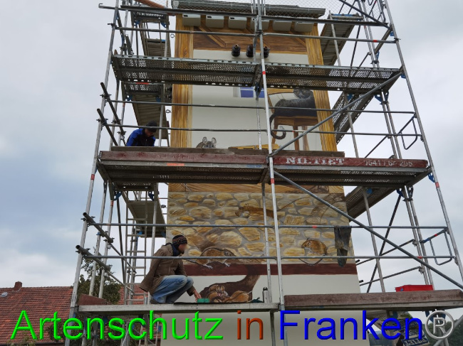 © Artenschutz in Franken® / Vennemann Bild zum Eintrag (1032818-160)