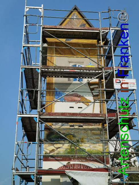 © Artenschutz in Franken® / Vennemann Bild zum Eintrag (1032827-160)
