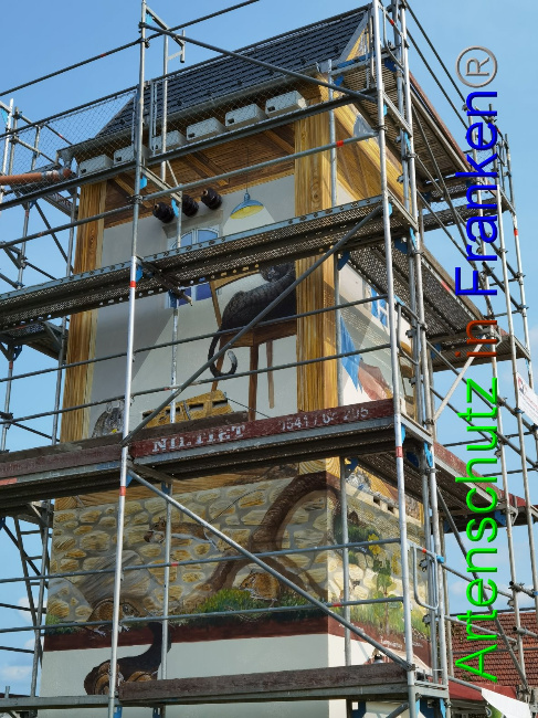 © Artenschutz in Franken® / Vennemann Bild zum Eintrag (1032828-160)