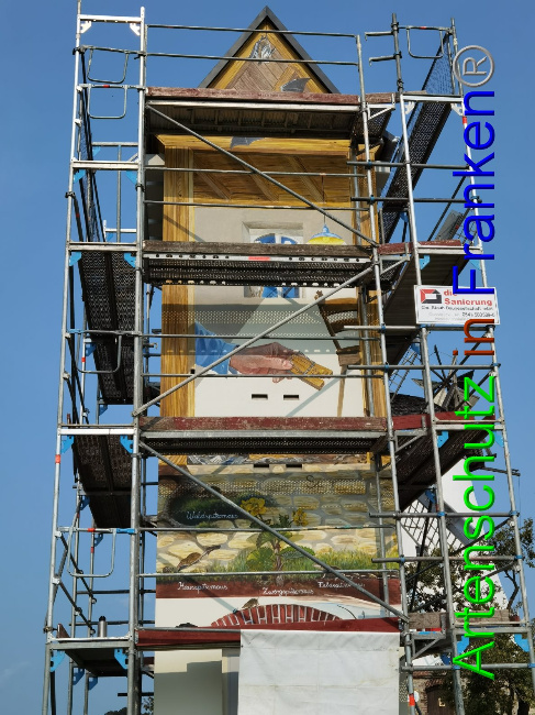 © Artenschutz in Franken® / Vennemann Bild zum Eintrag (1032831-160)