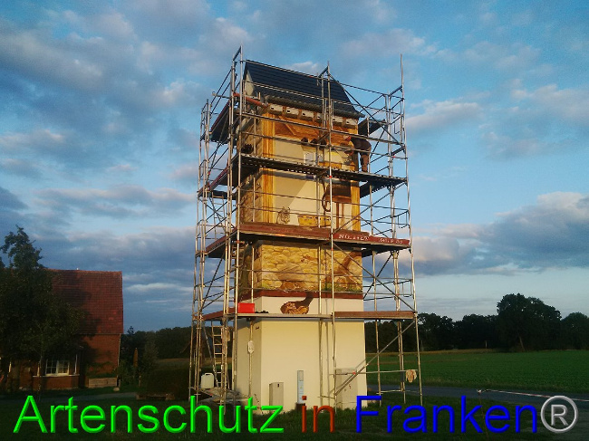 © Artenschutz in Franken® / Horn Bild zum Eintrag (1032834-160)