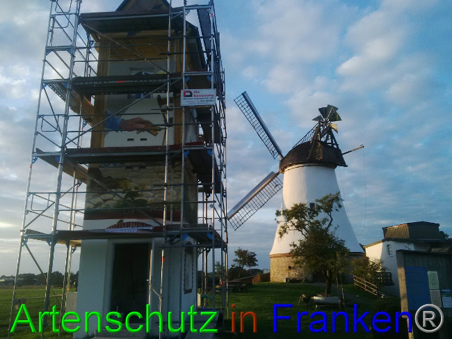 © Artenschutz in Franken® / Horn Bild zum Eintrag (1032842-160)