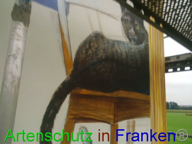 © Artenschutz in Franken® / Horn Bild zum Eintrag (1032846-160)