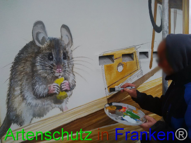 © Artenschutz in Franken® / Horn Bild zum Eintrag (1032847-160)