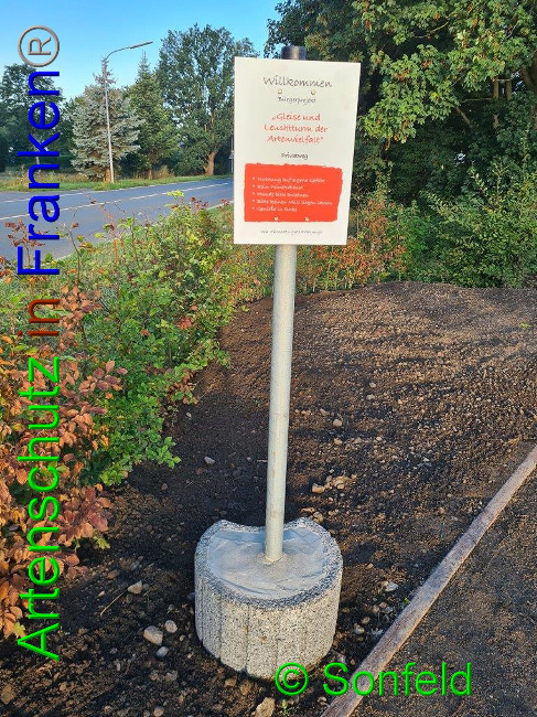 © Artenschutz in Franken® / M.Sonfeld Bild zum Eintrag (1032878-160)
