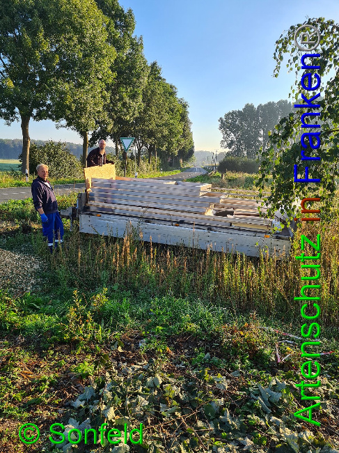 © Artenschutz in Franken® / M.Sonfeld Bild zum Eintrag (1032883-160)