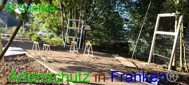 © Artenschutz in Franken® / M.Sonfeld Bild zum Eintrag (1032884-160)