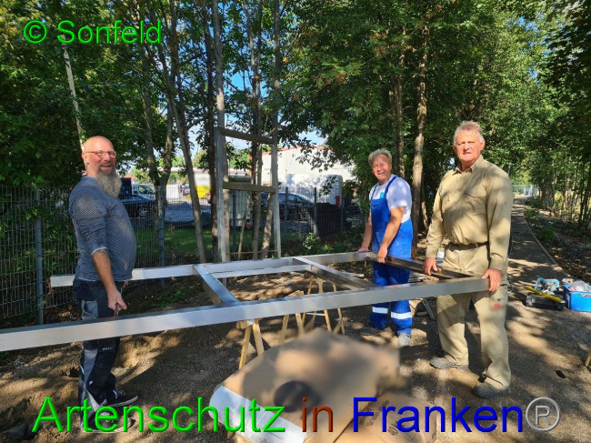 © Artenschutz in Franken® / M.Sonfeld Bild zum Eintrag (1032885-160)