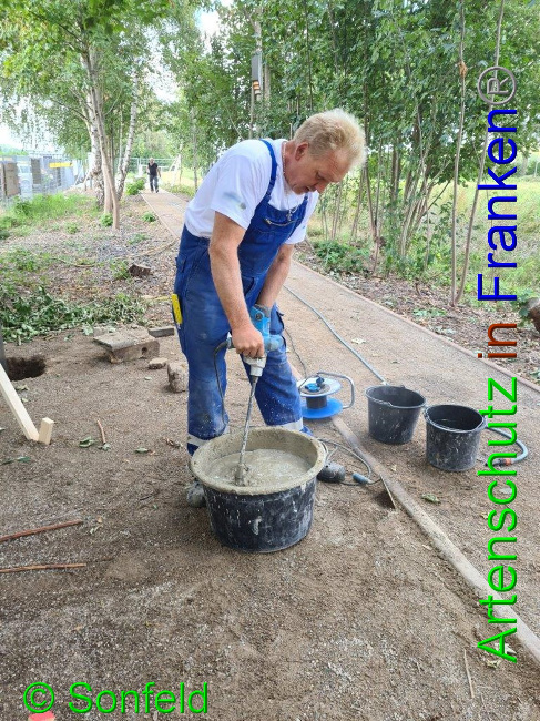 © Artenschutz in Franken® / M.Sonfeld Bild zum Eintrag (1032891-160)