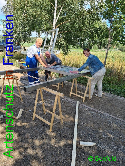 © Artenschutz in Franken® / M.Sonfeld Bild zum Eintrag (1032893-160)
