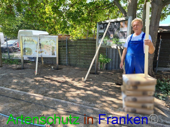 © Artenschutz in Franken® / M.Sonfeld Bild zum Eintrag (1032897-160)