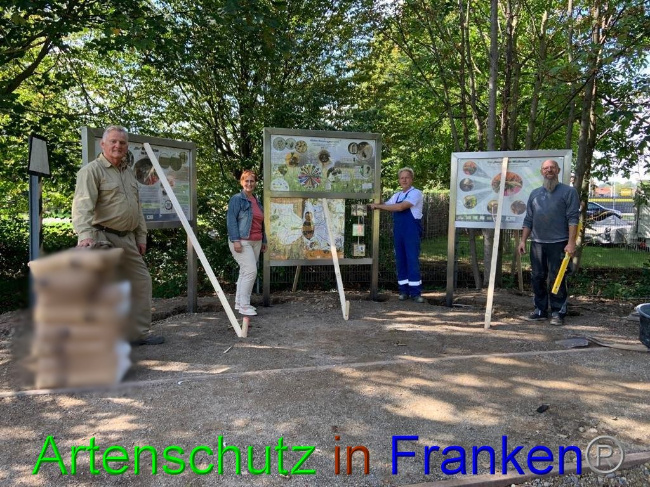 © Artenschutz in Franken® / M.Sonfeld Bild zum Eintrag (1032898-160)