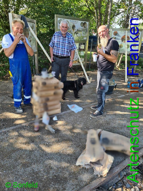 © Artenschutz in Franken® / M.Sonfeld Bild zum Eintrag (1032899-160)