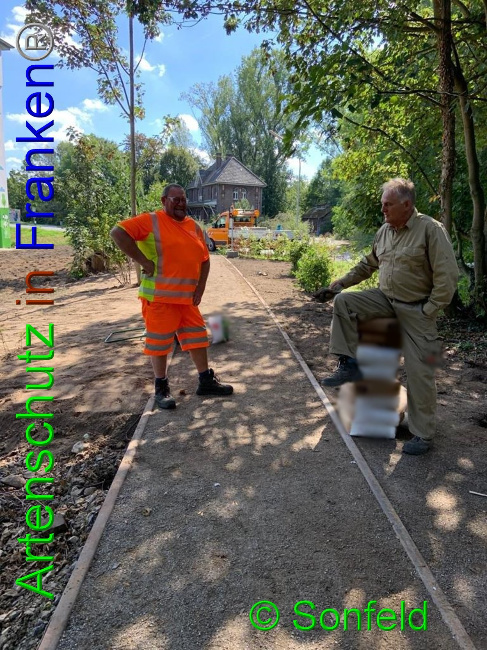 © Artenschutz in Franken® Bild zum Eintrag (1032900-160)