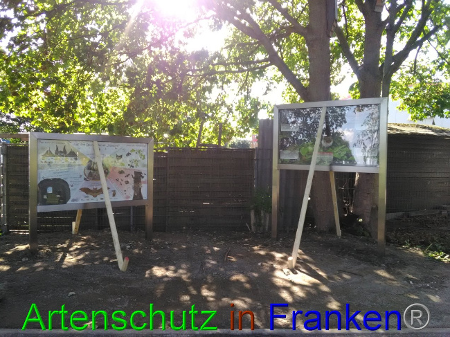 © Artenschutz in Franken® Bild zum Eintrag (1032908-160)