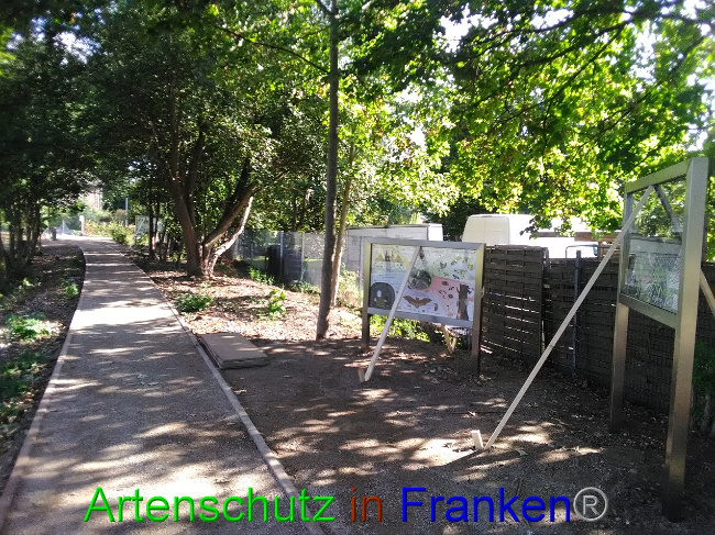 © Artenschutz in Franken® Bild zum Eintrag (1032911-160)