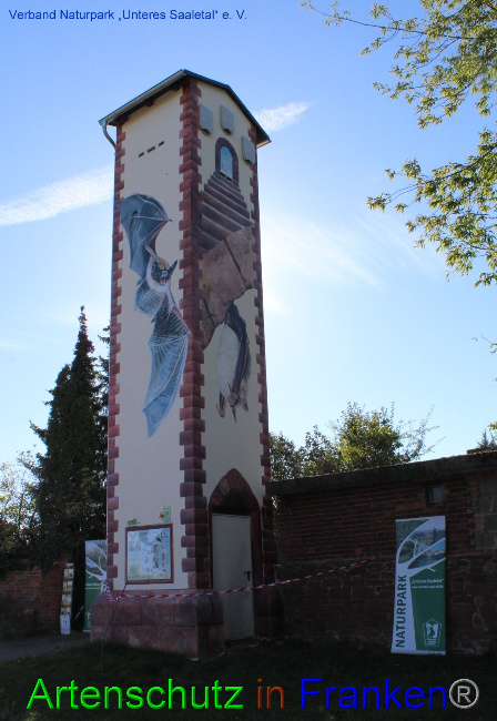 © Artenschutz in Franken® Bild zum Eintrag (1032948-160)