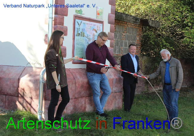 © Artenschutz in Franken® Bild zum Eintrag (1032952-160)
