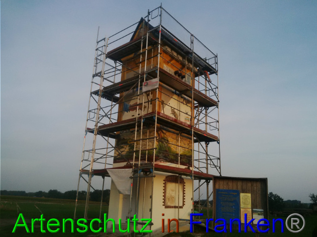 © Artenschutz in Franken® Bild zum Eintrag (1032960-160)
