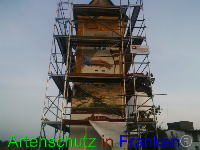 © Artenschutz in Franken® Bild zum Eintrag (1032961-160)