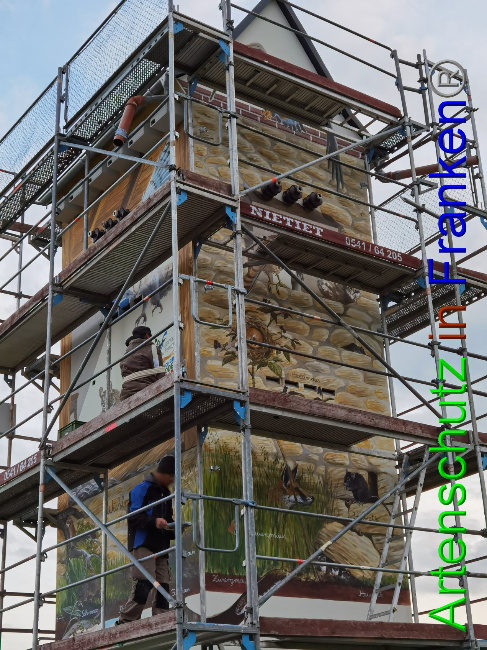 © Artenschutz in Franken® / Vennemann Bild zum Eintrag (1032972-160)