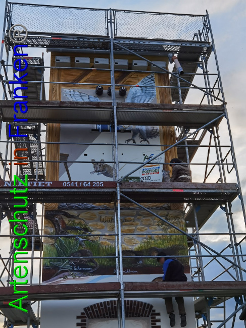 © Artenschutz in Franken® / Vennemann Bild zum Eintrag (1032973-160)