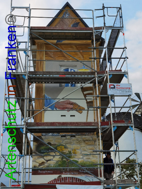 © Artenschutz in Franken® / Vennemann Bild zum Eintrag (1032974-160)