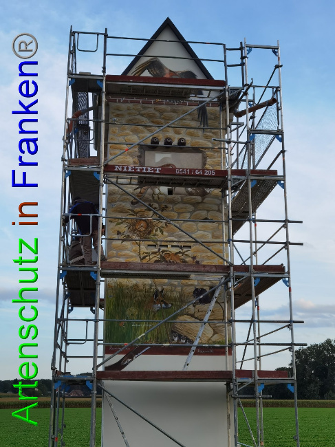© Artenschutz in Franken® Bild zum Eintrag (1032977-160)
