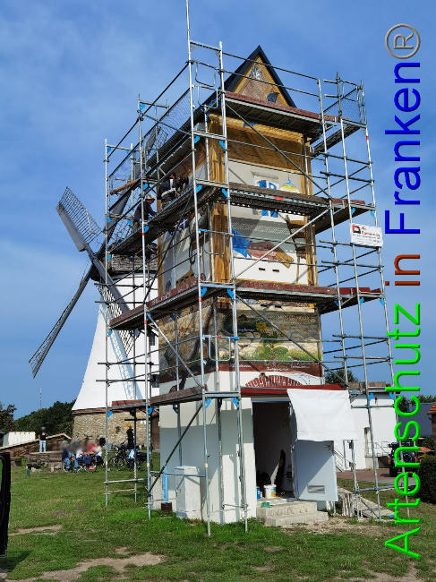 © Artenschutz in Franken® / Vennemann Bild zum Eintrag (1032997-160)