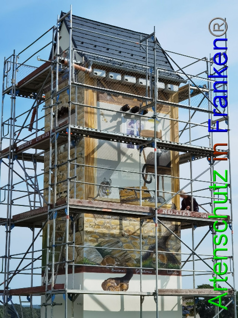 © Artenschutz in Franken® / Vennemann Bild zum Eintrag (1032998-160)