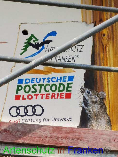 © Artenschutz in Franken® / Vennemann Bild zum Eintrag (1033003-160)