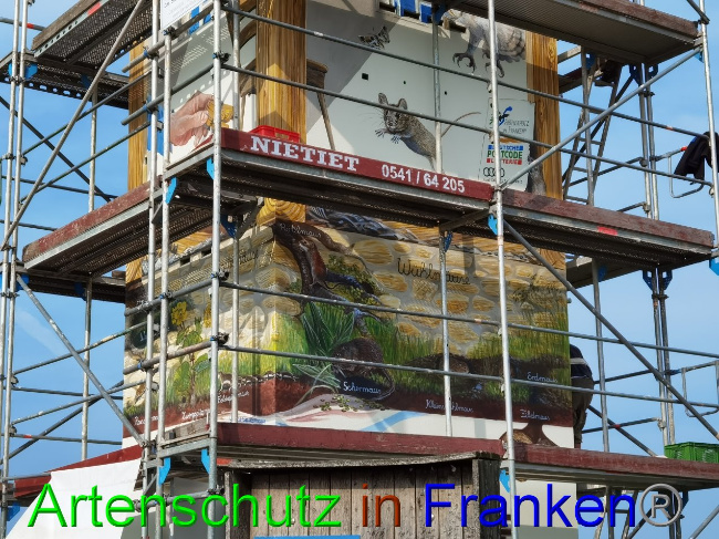 © Artenschutz in Franken® / Vennemann Bild zum Eintrag (1033005-160)