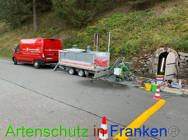 © Artenschutz in Franken® Bild zum Eintrag (1033821-160)