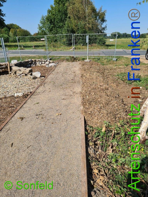 © Artenschutz in Franken® / Sonfeld Bild zum Eintrag (1034151-160)