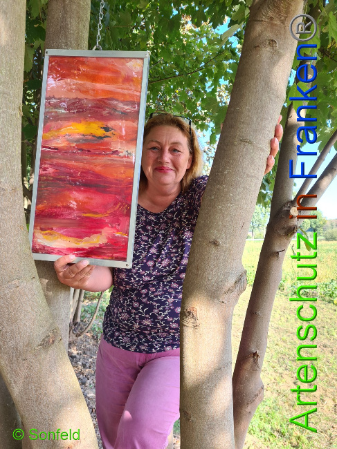 © Artenschutz in Franken® / Sonfeld Bild zum Eintrag (1034160-160)