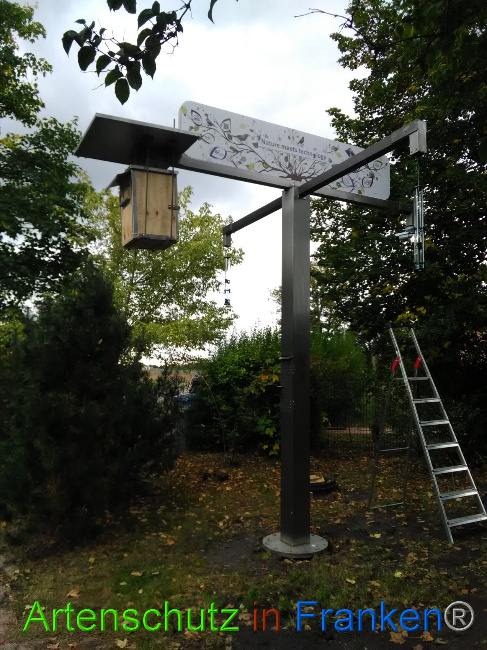 © Artenschutz in Franken® Bild zum Eintrag (1034237-160)
