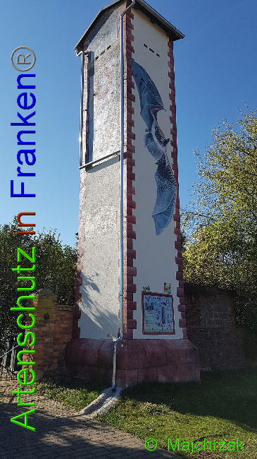 © Artenschutz in Franken® / © Majchrzak Bild zum Eintrag (1034302-160)