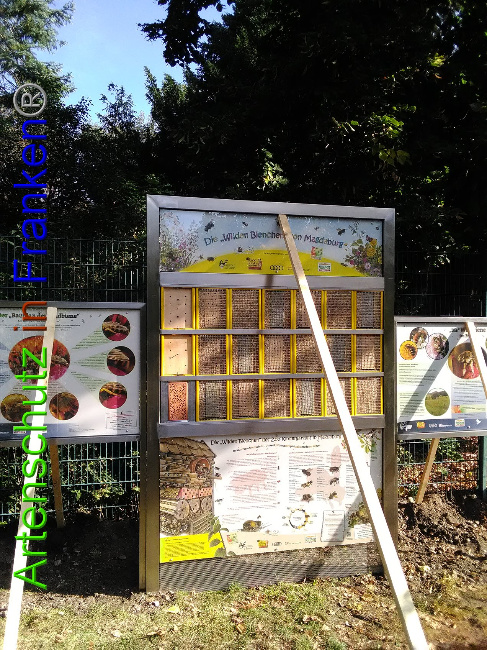 © Artenschutz in Franken® Bild zum Eintrag (1034408-160)