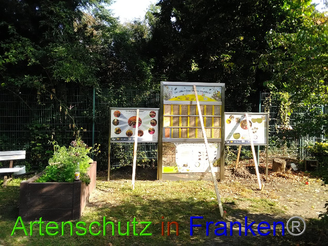 Bild zum Eintrag (1034410-160)